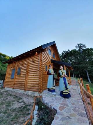 Лоджи Eco Village Dusanovi Konaci Cabins Вирпазар-2